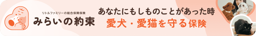 リトルファミリーの総合保障保険みらいの約束