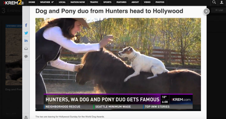 ポニーにまたがる犬の仲良しコンビ「ダリーとスパンキー」がハリウッドへ！