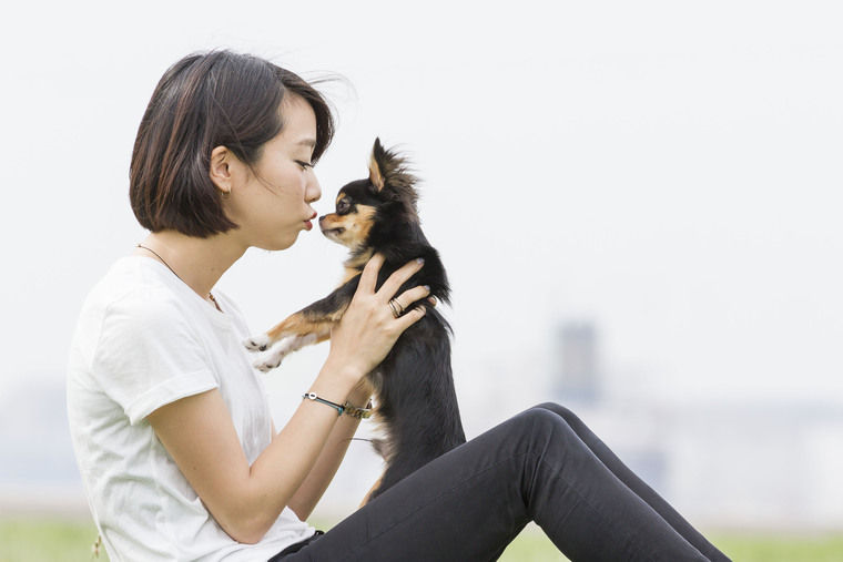 犬のしつけは褒めることが大切! 専門家が教える犬の褒め方と叱り方