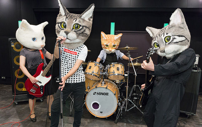 早く猫になりたい! そんなあなたに超リアルな被り物「リアル猫ヘッド」登場 気になるお値段は?
