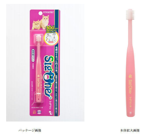 シグワンから「猫専用歯ブラシ」発売!ちゃんと愛猫の歯磨きしてる?