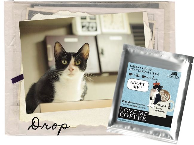 保護した犬猫たちがモデルになったドリップコーヒーのギフトバック発売 売り上げはシェルター運営費に