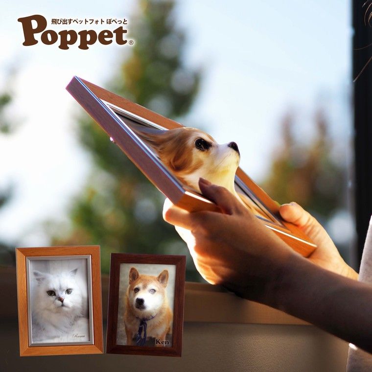 Poppet(ぽぺっと)で愛犬・愛猫がいつも身近に! 飛び出すペットフォト