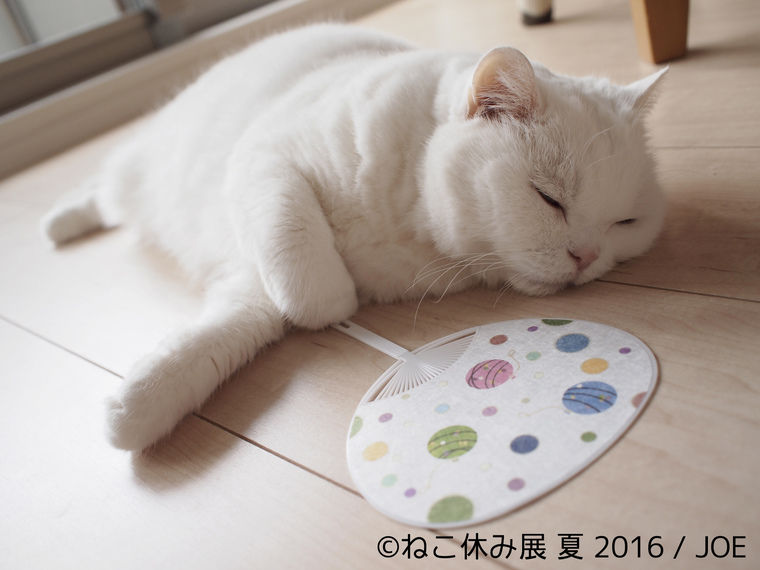 新作尽くしの猫クリエイター合同写真&物販展「ねこ休み展 夏 2016」開催中