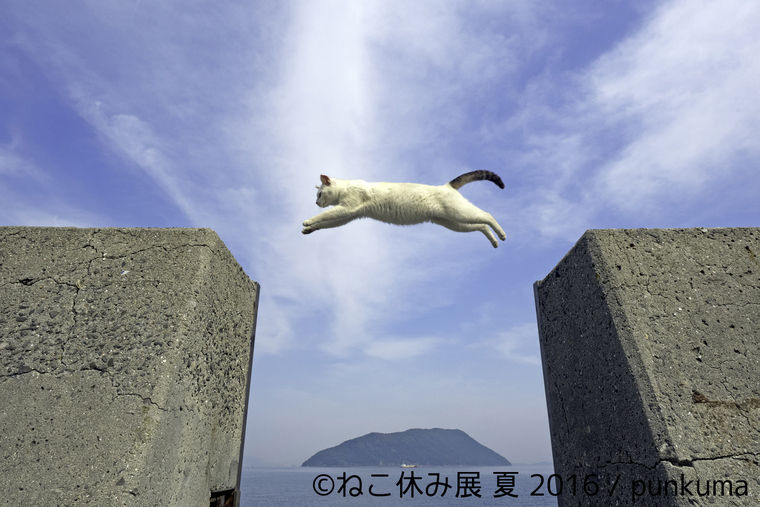 ねこ休み展2016夏