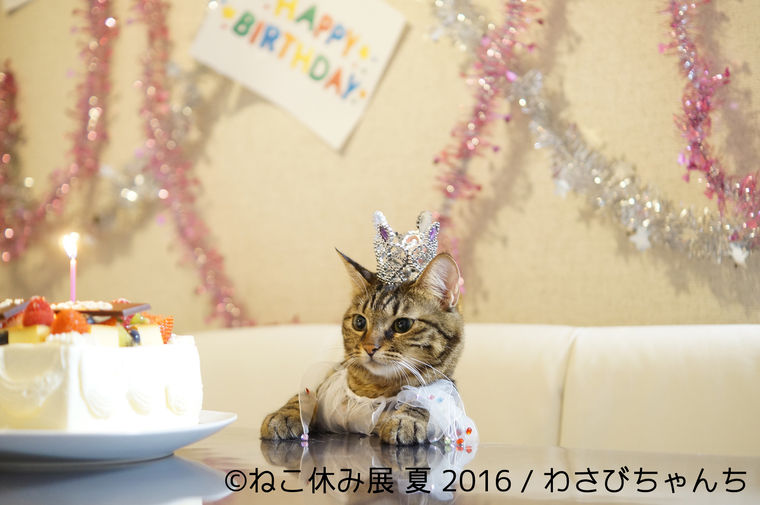ねこ休み展2016夏