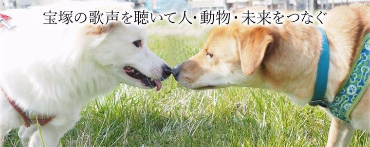 9/9「第1回 保護犬・猫のためのチャリティーコンサート」開催 元宝塚の真丘奈央さんが出演