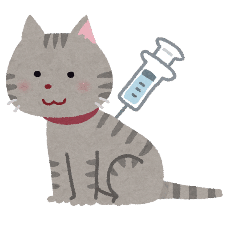 猫に注射している様子