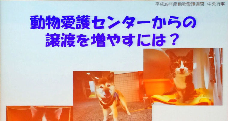 譲渡された犬猫の出戻りは当然!? 新潟県動物愛護センターの意外な取り組み