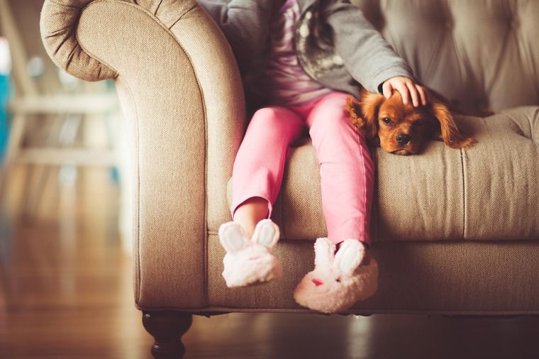 犬を飼うのに必要なもの&初めて犬を迎える時にすべきこと