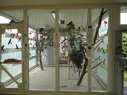 室内の鳥小屋