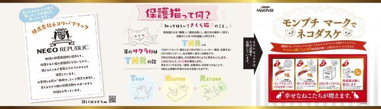 保護猫の紹介イラスト