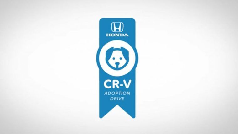 米国ホンダが新型「CR-V」で保護犬の里親探しをする動画を公開