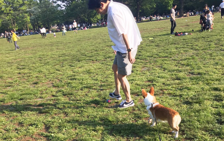 犬とお出かけ