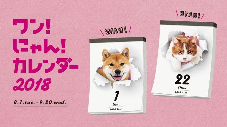 かわいいうちの子がカレンダーに!? 犬&猫の写真投稿キャンペーン開催中