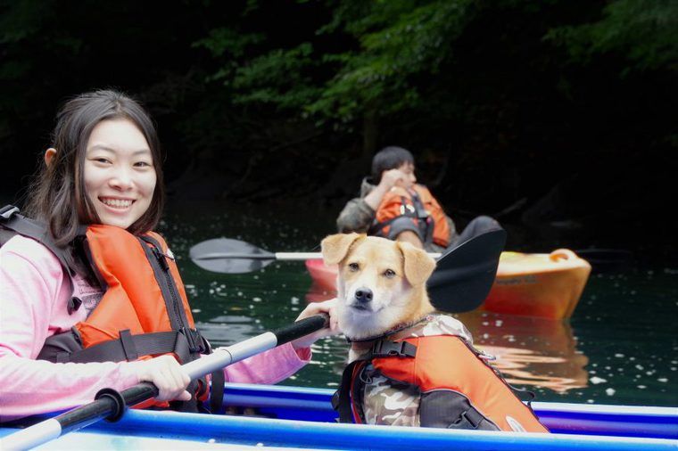 犬とカヌーを楽しもう 楽しみ方や参加できる関東 関西など全国のおすすめツアーを紹介 ペトコト