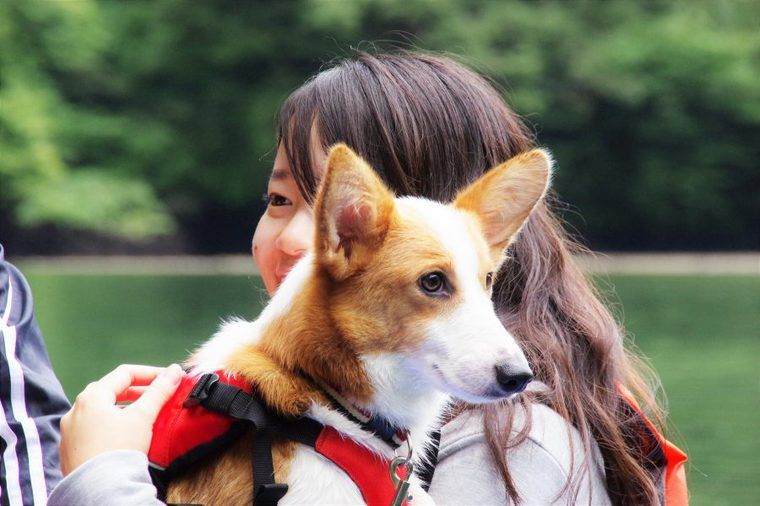 那須で犬とカヤック