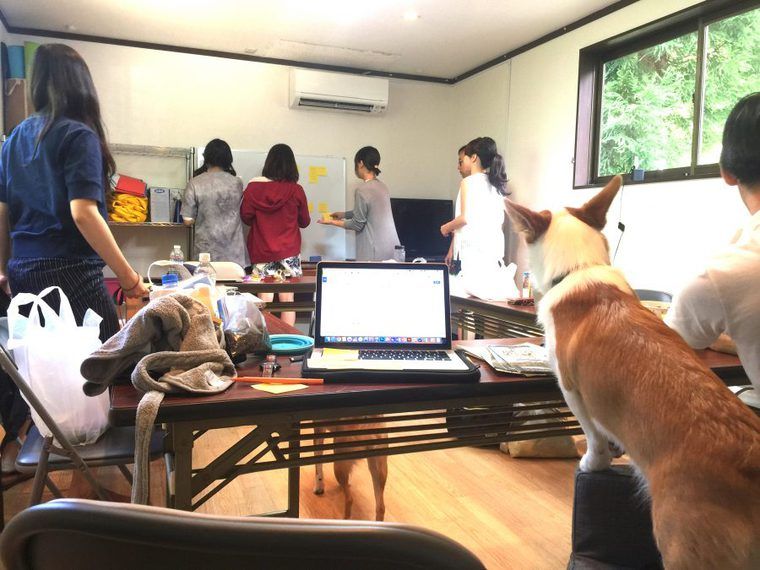 シロップの社員合宿