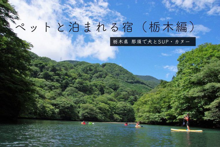 栃木県で人気の犬・ペットと泊まれる宿おすすめ12選！那須や鬼怒川の温泉付きやドッグラン付きなどを紹介