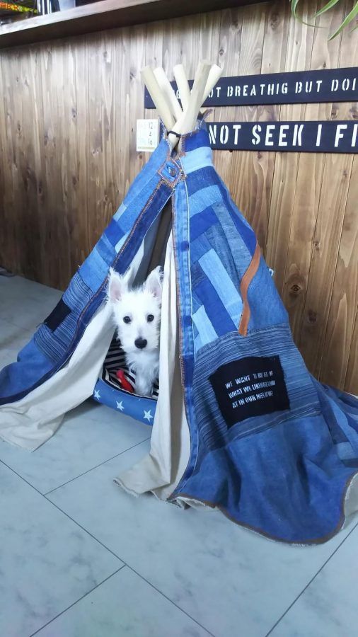 デニムの手作りティピーテントに入る白い犬