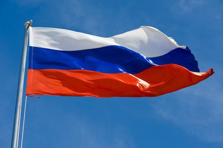 ロシア出身の猫はロシアンブルーだけじゃない! サイベリアンなど人気の猫を紹介