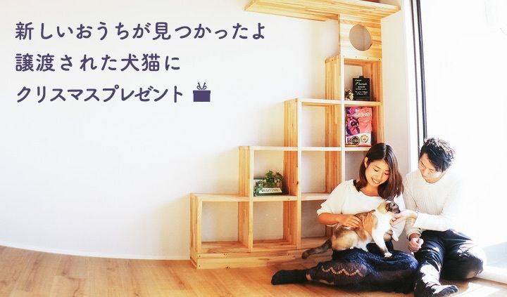 【期間限定】OMUSUBIで新しい家族に迎えられた保護犬猫に「フロントライン」をプレゼント