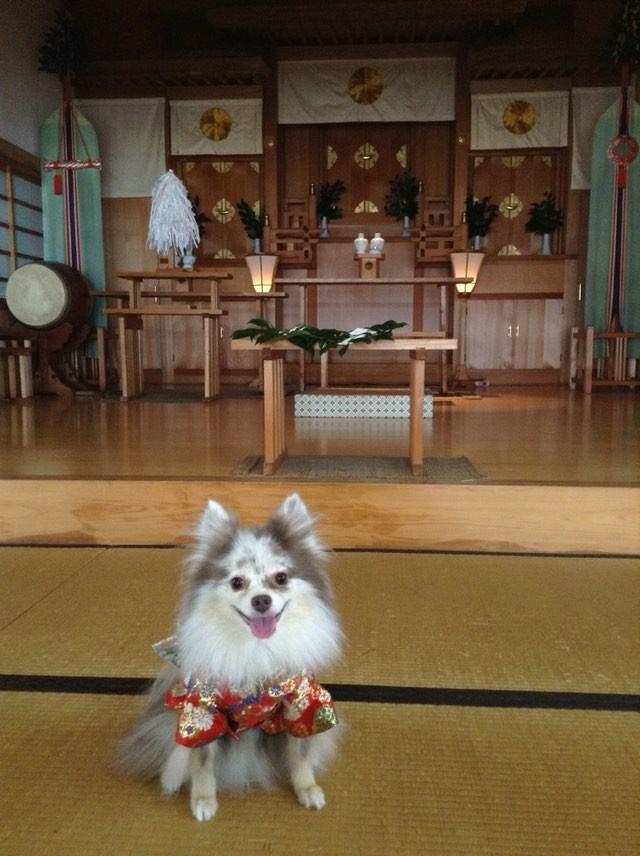 ペットと参拝できる神社の照友神社