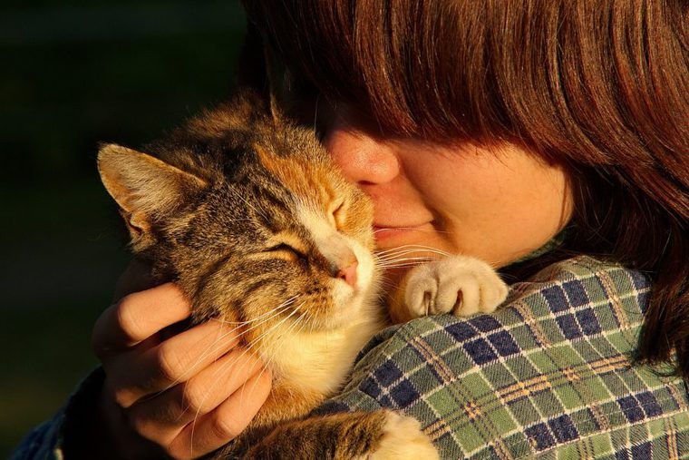 人と猫のキスはNG？理由やリスクを獣医師が解説