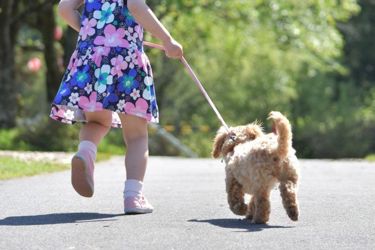 散歩をする子どもと犬