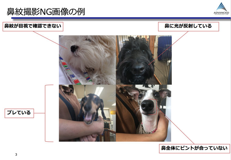 犬の鼻紋