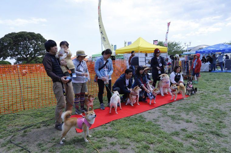 日本犬祭の参加者たち