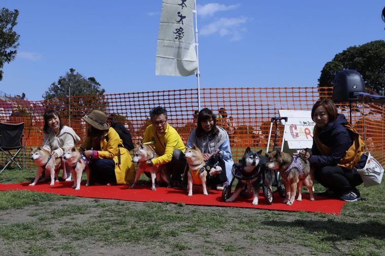 2018_0408_nihonken_16