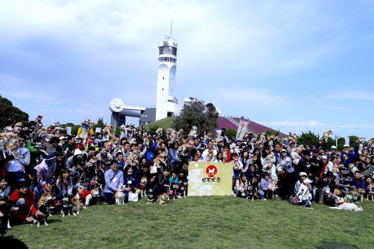 日本犬祭参加者