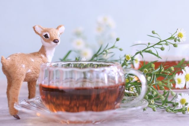 犬は紅茶を飲んでも大丈夫? カフェイン中毒を引き起こす危険性も
