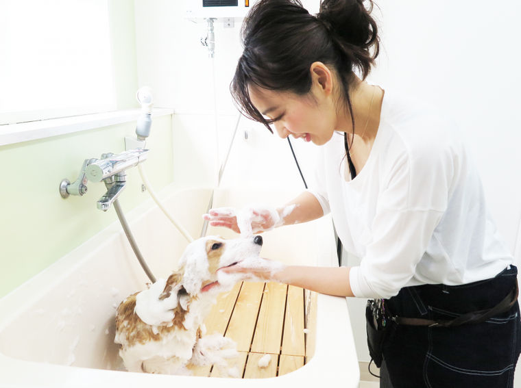 Dog Care Salon LINDO