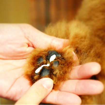 犬の皮膚ケアクリーム