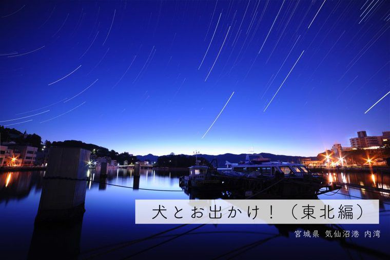 犬とお出かけ東北編|編集部厳選おすすめスポット15選