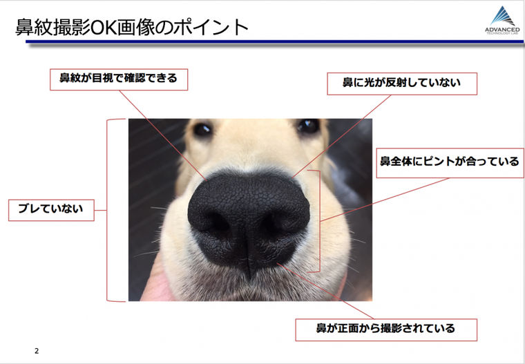 犬の鼻紋で迷子犬を探す ペトことがリクルート Ibm ほぼ日と鼻紋ai解析の実証実験を開始 ペトコト