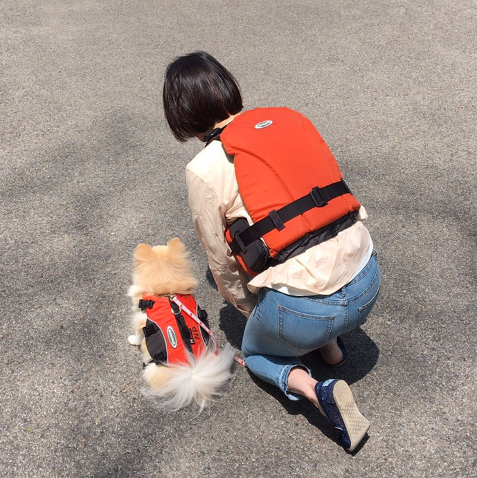 犬とカヌーを楽しもう 楽しみ方や参加できる関東 関西など全国のおすすめツアーを紹介 ペトコト