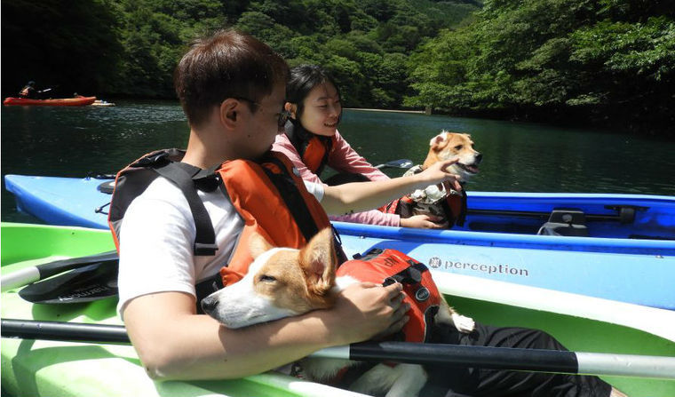 犬とカヌー(カヤック)を楽しもう! ペットも参加できる関東&関西のオススメツアーを紹介