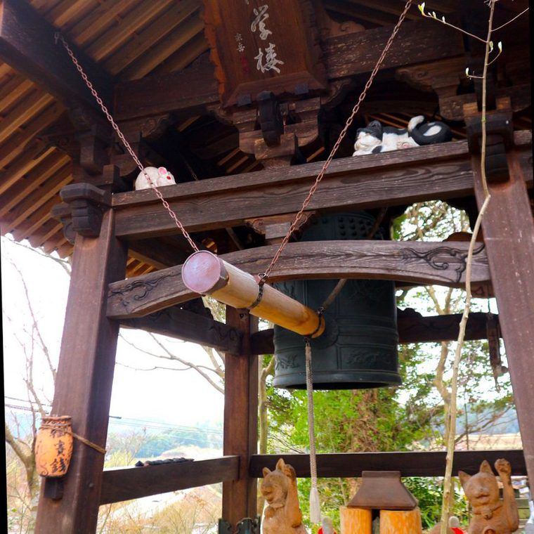 猫寺・雲林寺