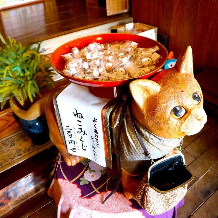 猫寺・雲林寺