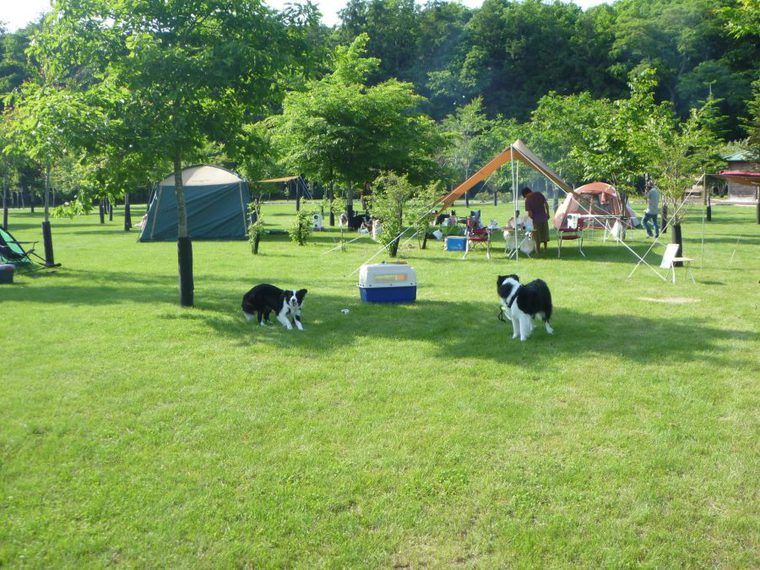 安平町鹿公園キャンプ場