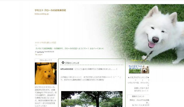 サモエドのブログ「サモエド クローカのお気楽日記」