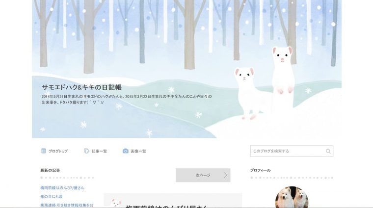 サモエドのブログ「サモエドハク&キキの日記帳」