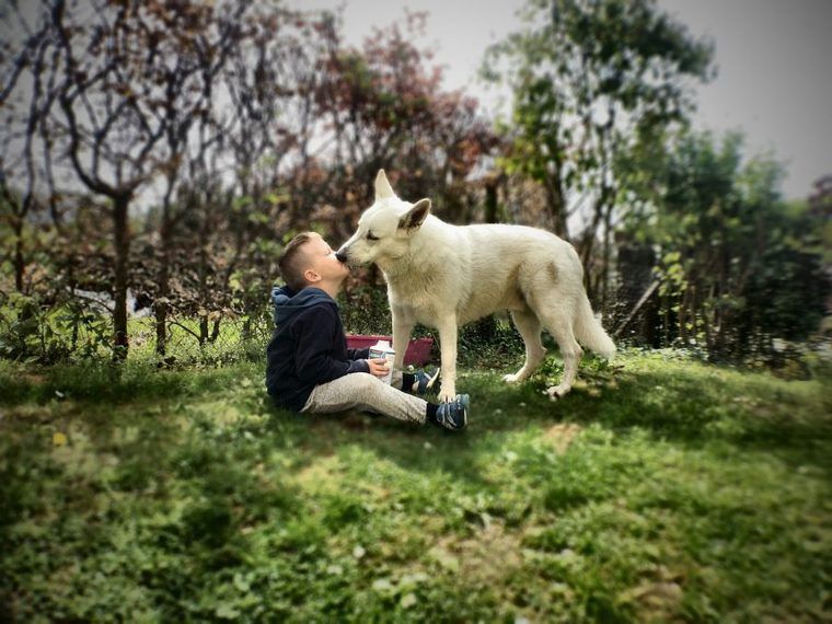 犬が人や自分を舐めるのはなぜ? 舐める理由や気持ちを解説