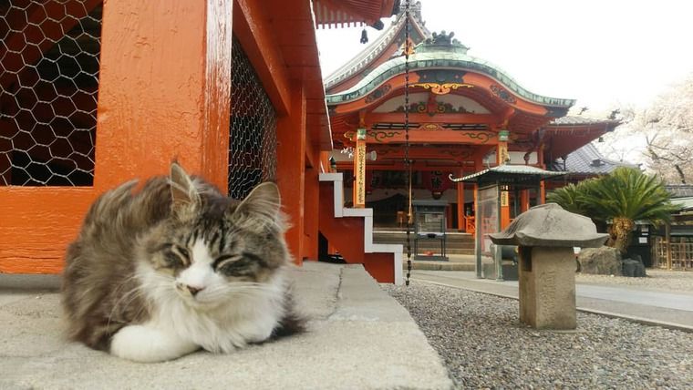 龍泉寺