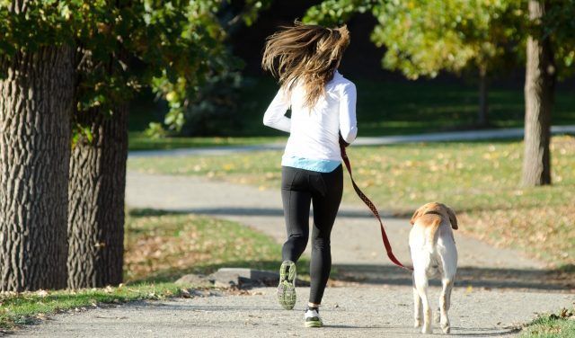 愛犬とランニングを楽しもう! 走れる距離や必要なしつけ、リードなどのおすすめグッズを紹介