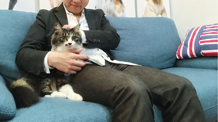 保護猫を卒業して社員猫に♪ 愛猫「リズモ」の成長記録【今日のシロップ】