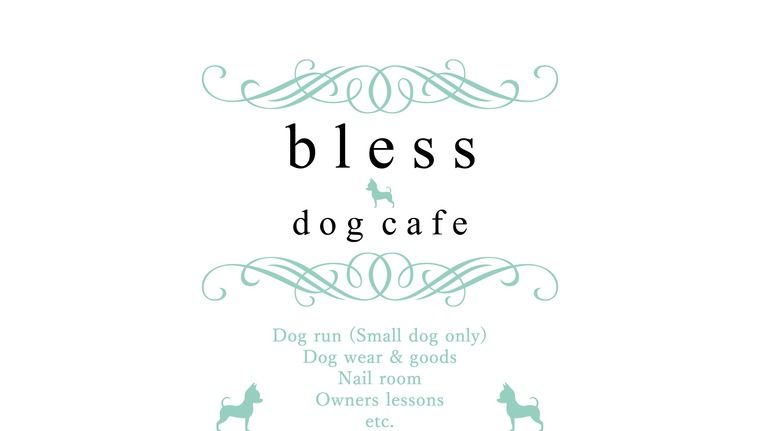 bless dog cafe